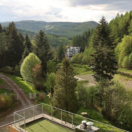 Keller Apart - Kurort Kozubnik K25 Porąbka Esterno foto